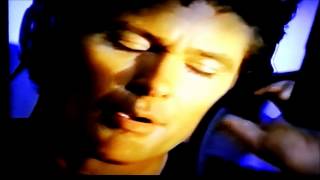 David Hasselhoff   / Miracle of Love