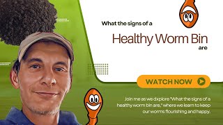 What the Signs of a Healthy Worm Bin Are by South Hill Compost 7,029 views 5 months ago 4 minutes, 49 seconds