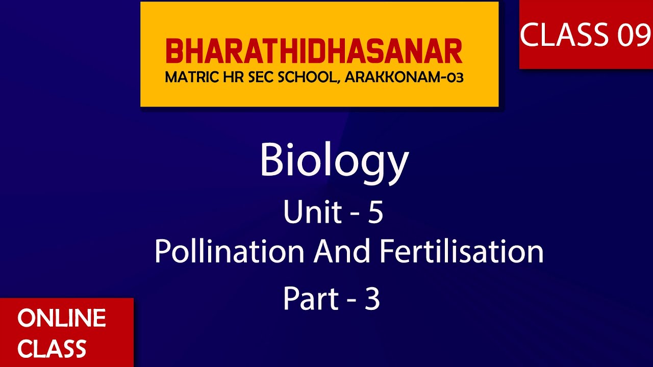 Biology | Class9 | Chapter 5 | Pollination And Fertilisation | Part 3 ...