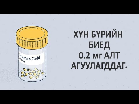 Видео: Таны муурны тархины талаар мэдэхгүй байсан дөрвөн зүйл Видео: Таны муурны тархины талаар мэдэхгүй байсан дөрвөн зүйл