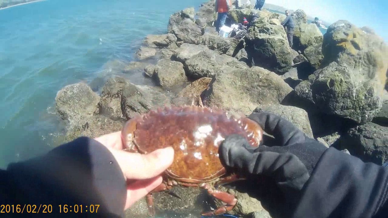 Bodega Bay Fishing YouTube