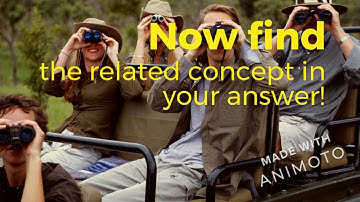 Concept-based Central Ideas - IB PYP