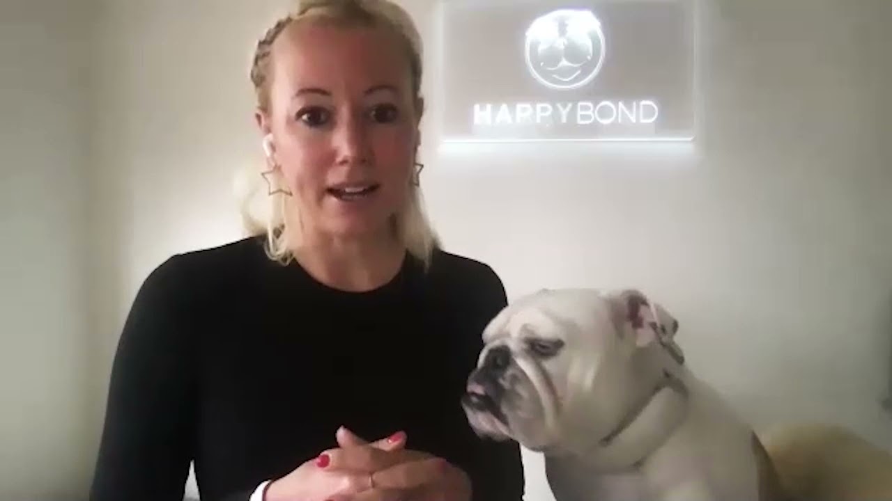 Interview with STARTUPWIRE and Chris Graebe