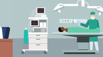 Roessler v. Novak Case Brief Summary | Law Case Explained