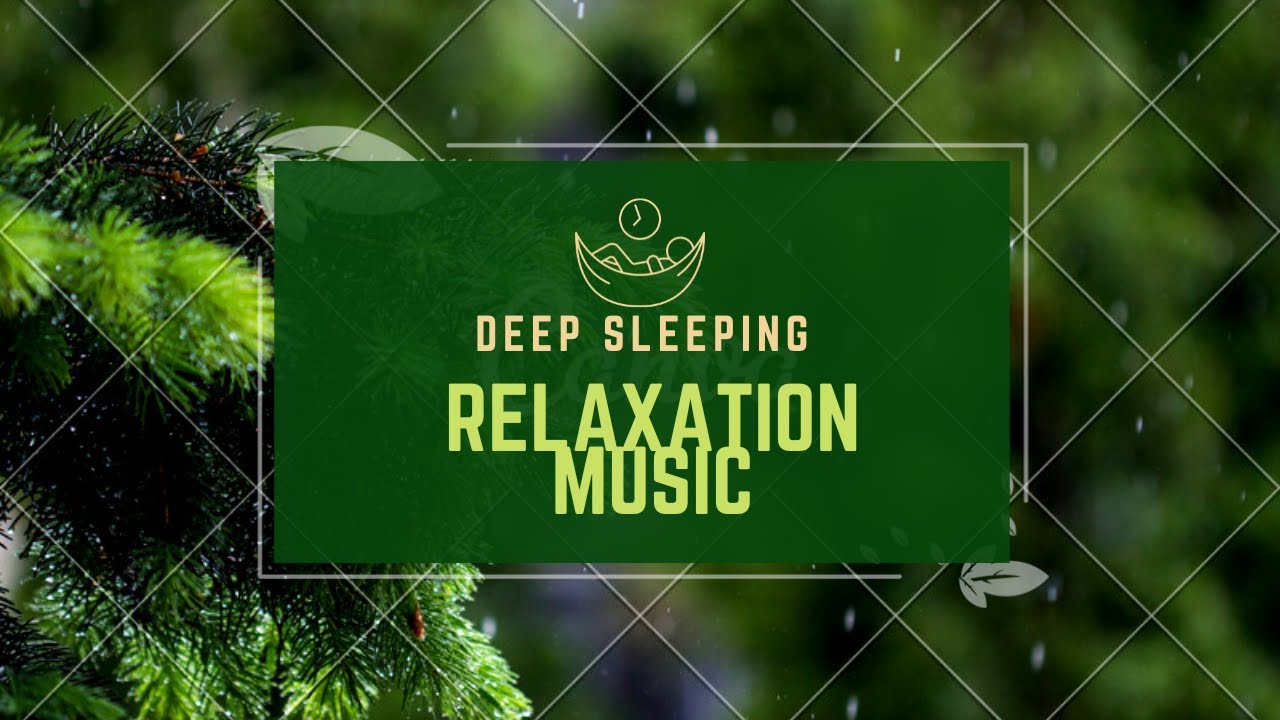 Relax Get Relax Need Relax Yoga Study Relax 24/7 Sleep