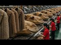 Inside World's Most Satisfying Camel Wool Factory 🐪 – Amazing ASMR Process ✨