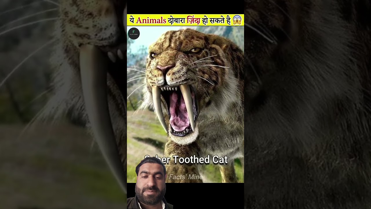 Scientists Are Bringing Extinct Animals Back to Life! 🧬