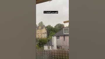 صوت القارئ 💔