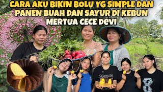 Bikin Bolu Kuning Telur Hasilnya Mala Beginike Kebun Mertua Ce Devi Panen Pucuk Labu Untuk Di Tumis