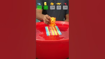 GUESS HOW MANY PAIPE WILL FLOAT ? #experiment  #satisfying #waterexperiment #asmr #asmrsounds