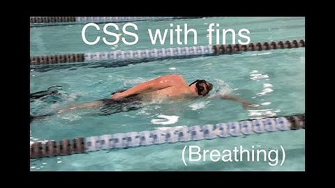 CSS Critique with Fins Focus on Breathing Timing