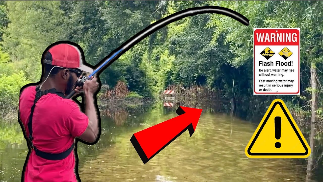 TOPWATER Fishing Flooded Sidewalks and Bridges For BIG Florida Bass