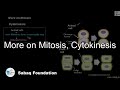 More on mitosis cytokinesis biology lecture  sabaqpk