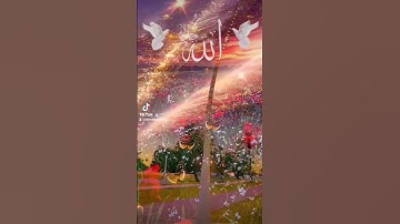 قران كريم تلاوة خاشعه #duet #القزابري #المصحف #اكسبلور #دويتو #تيك_توك #الرحمن