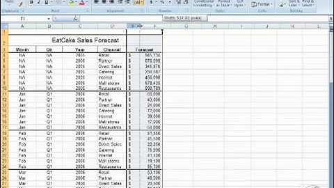 Excel 2007 Essential Training   1