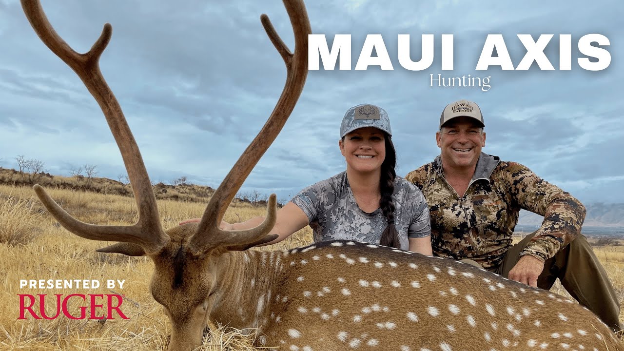 Maui Axis Hunt - Hawaiian vacation turned into Axis Deer Hunt - YouTube