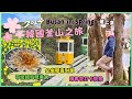 ［2024 韓國🇰🇷釜山之旅］Ep02 必坐人氣膠囊列車 🔥五六島天空步道 睇海景😎 Busan X The Sky 全世界最高星巴克飲咖啡 👍🏻 開蓬巴士夜遊釜山 🌸 Ft 韓國觀光公社