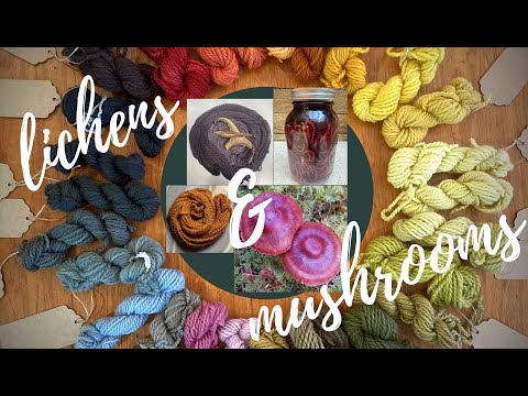 How to Dye with Lichens and Mushrooms