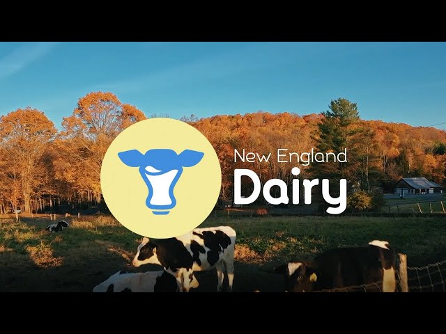 We Are New England Dairy class=