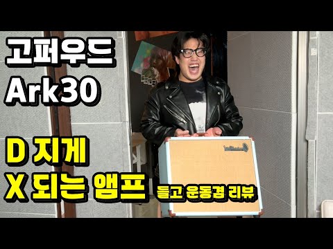 D지게 X되는 앰프 (고퍼우드 Ark30DX 앰프 리뷰)