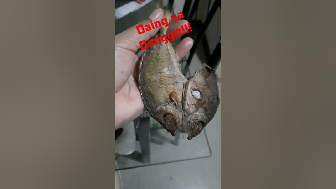 Daing na Danggit - YouTube
