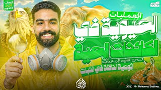 شرح النقل في النبات ـ العمليات الحيوية ـ الدرس الثاني | علوم متكاملة أولى ثانوي الترم الثاني 2026