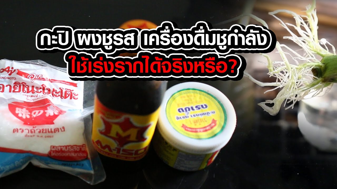 กะปิ ผงชูรส เครื่องดื่มชูกำลังใช้เร่งรากได้จริงหรือ?