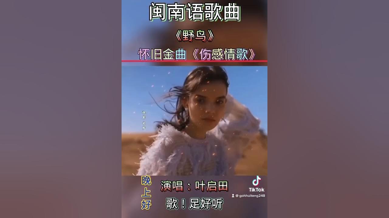叶启田闽南语歌曲:野鸟🎼👨🦰🐦🐦🐦 叶启田闽南语歌曲:野鸟🎼👨🦰🐦🐦🐦