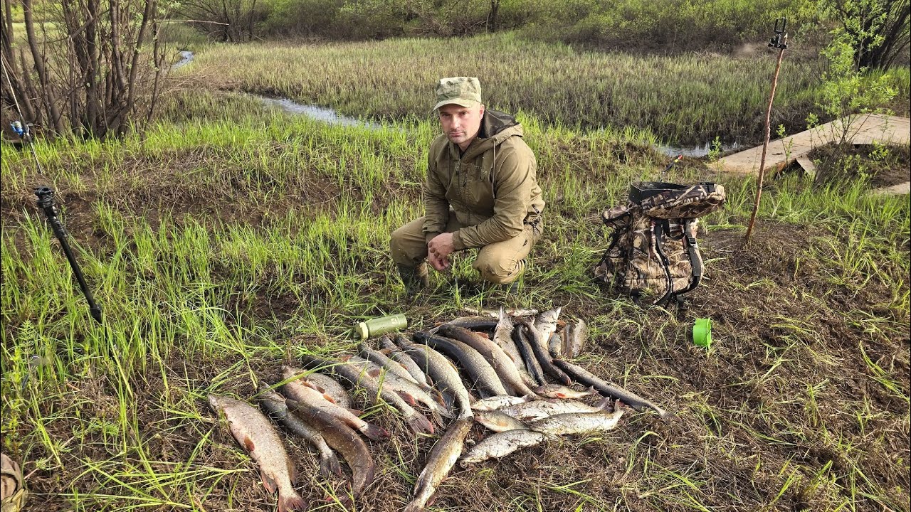 ЩУКИ КИДАЮТСЯ ОДНА ЗА ОДНОЙ. РЫБАЛКА НА СПИННИНГ В РУЧЬЕ. Рыба жадно брала на малые приманки.