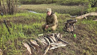 картинка: ЩУКИ КИДАЮТСЯ ОДНА ЗА ОДНОЙ. РЫБАЛКА НА СПИННИНГ В РУЧЬЕ. Рыба жадно брала на малые приманки.