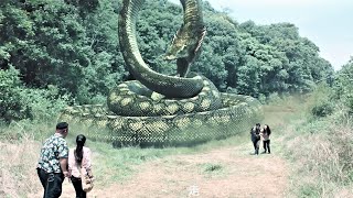 The man is tightly entangled by a big snake in order to retrieve the treasure!
