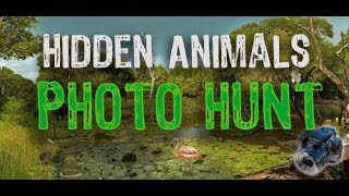 Hidden Animals Photo Hunt Gameplay