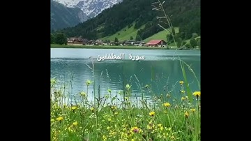 ||إن الأبرار لفي نعيم 🤍 على الأرائك ينظرون🤍 تعرف في وجوههم نضرة النعيم || سورة المطففين