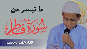 آيات بينات من سورة فاطر || القارئ أنس محسن