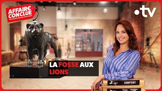 La Fosse Aux Lionsaffaire Conclue