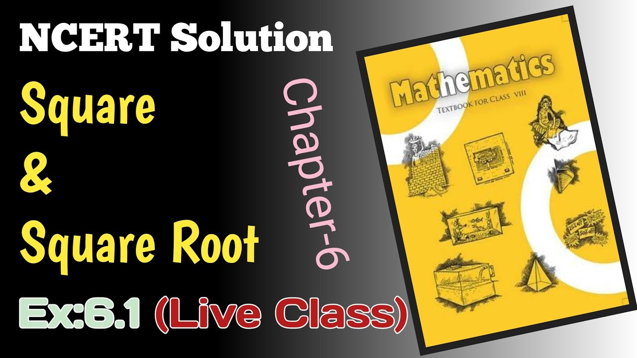 Class 8 NCERT Maths Ex:6.1 Solution Live Square and Square Root - YouTube