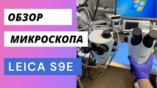 Обзор Leica S9E и S9D