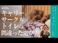 【保存版】いい子に育つキャリー・サークル・トイレの条件を獣医師が解説【獣医師ツジノボル】