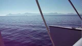 No-Frills Excursions - Anaconda 2 Catamaran from Alcudia Majorca