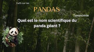 Fait sur le Panda 23 - Quel est le nom scientifique du panda géant ?
