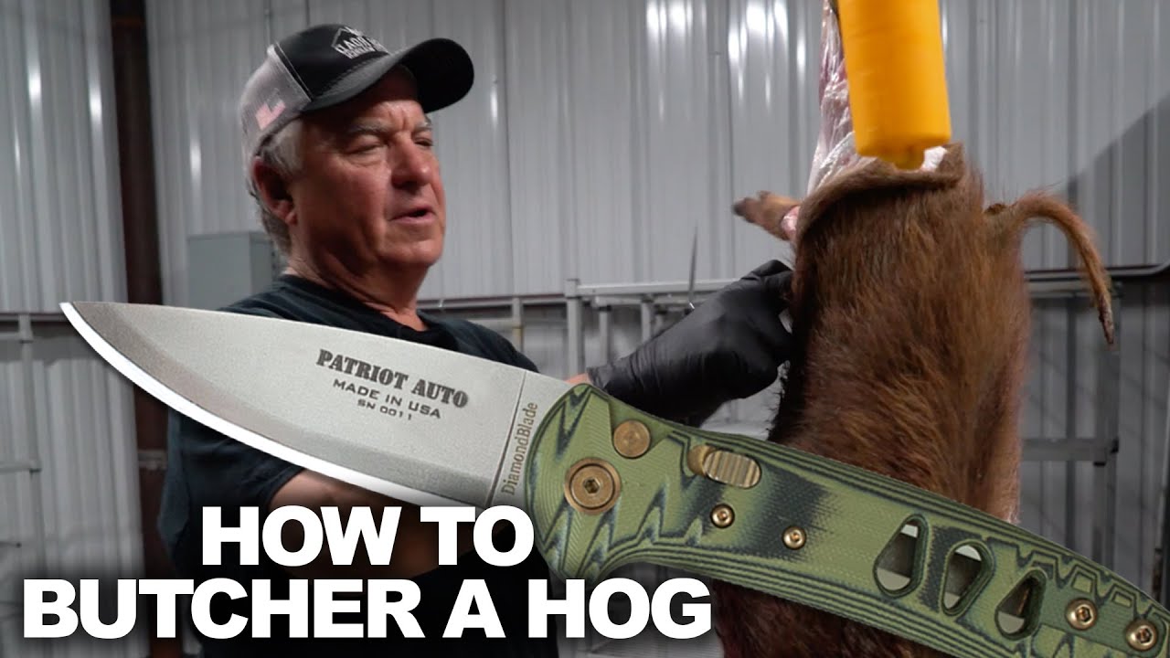 How Do You Get Rid Of Feral Hog Carcass?