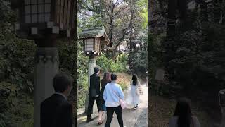 สวนป่าศาลเจ้าเมจิจิงกู MeijiJinguShrineรีวิว เที่ยว เที่ยวญี่ปุ่น tokyo
