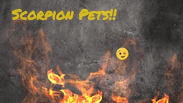 Scorpion pets in Conan Exiles..  From the Scorpion Queen