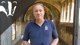 #EssexWildlifeTV - Bat Survey