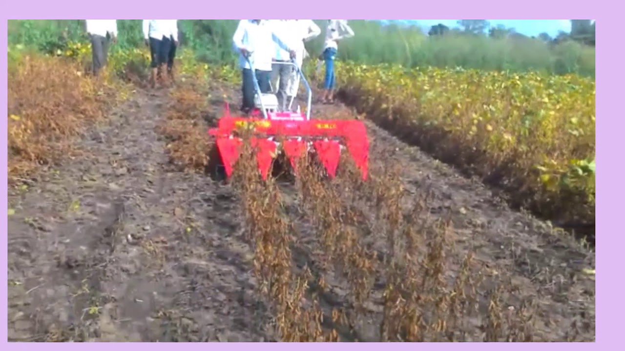 Harvesting machine of Soya..it's very useful for farmer YouTube
