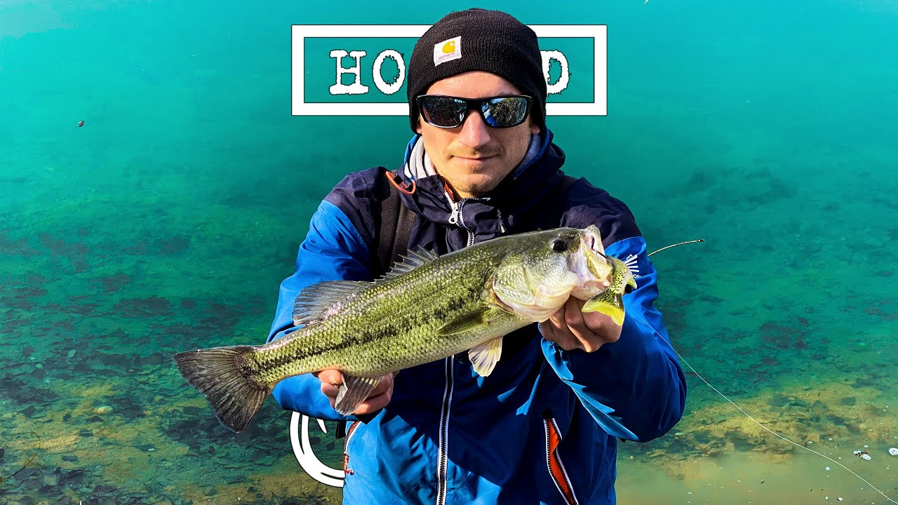 SOLO SWIMBAIT🎣 alla ricerca del BIG BASS💥