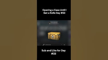 Opening a Case Until I Get a Knife Day #22