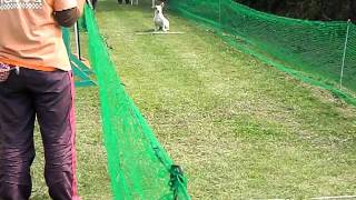 20111010 10Mカミング 024.MOV