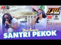 Dini Kurnia - Santri PEKOK ( Pemuda Patung Pacul X Nanda Audio Jember )