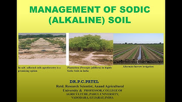 Management of Sodic (Alkaline) Soil By Dr. P. C .Patel